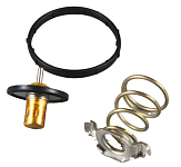 Термостат, 3.6L, (GCh 1115), 3.0L (GCh 2011~), вставка, MOTORAD (72495K к 05184651AH, 05184651AF)